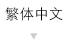 繁体中文